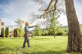 Best Seasonal Cleanup (Spring/Fall)  in Anthony, KS